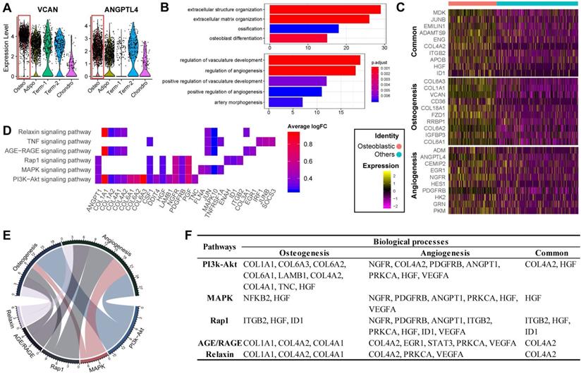 Int J Biol Sci Image