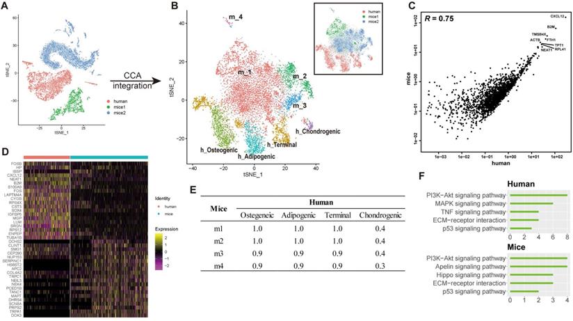 Int J Biol Sci Image