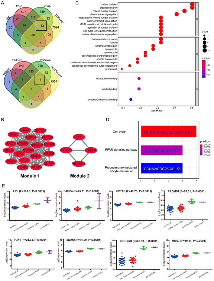 Int J Biol Sci Image