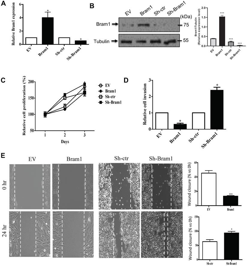 Int J Biol Sci Image