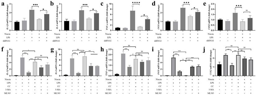 Int J Biol Sci Image