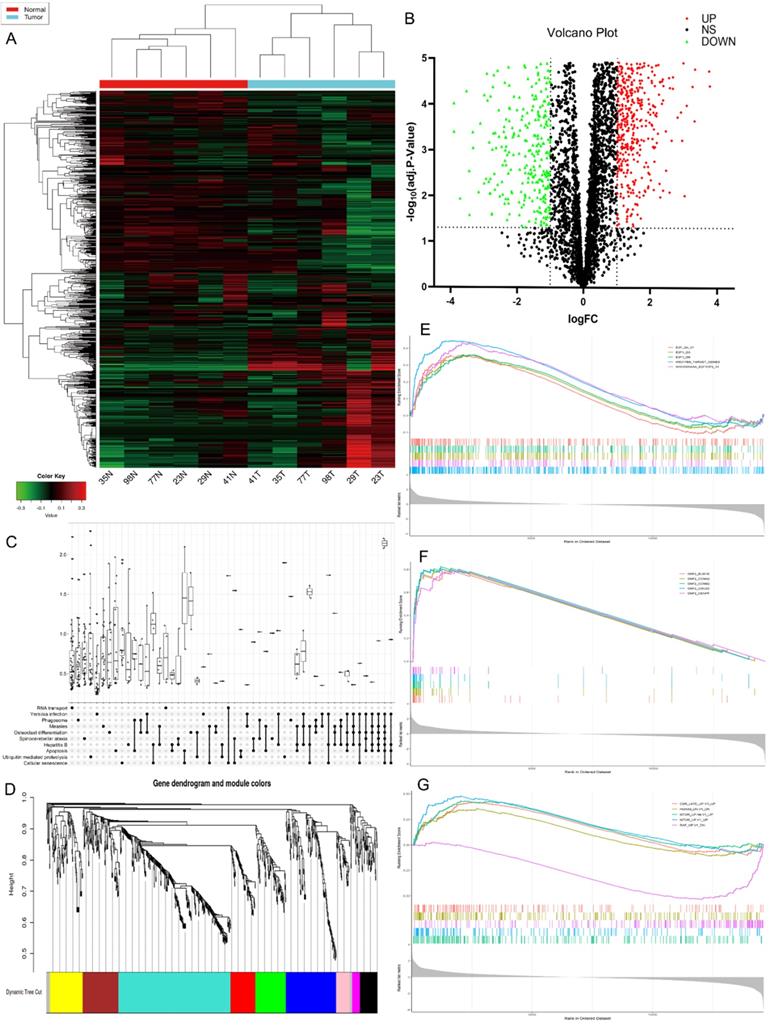 Int J Biol Sci Image