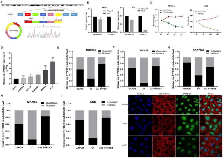 Int J Biol Sci Image