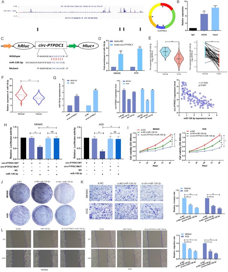 Int J Biol Sci Image