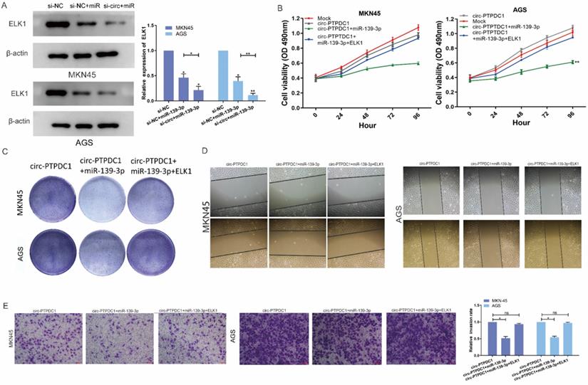 Int J Biol Sci Image