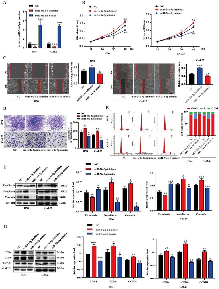 Int J Biol Sci Image