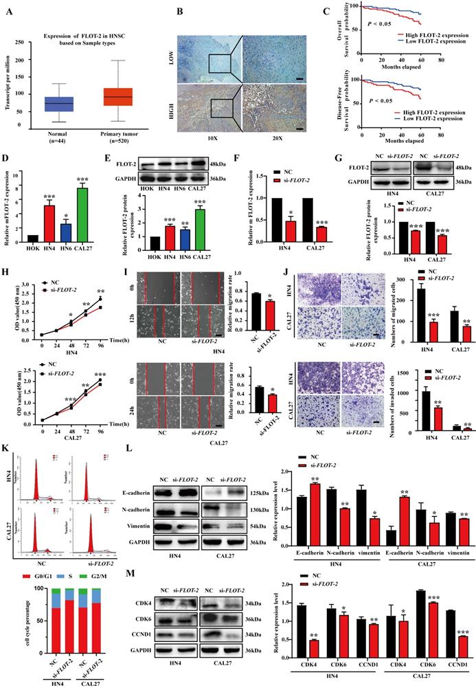 Int J Biol Sci Image