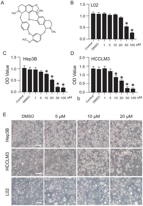 Int J Biol Sci Image