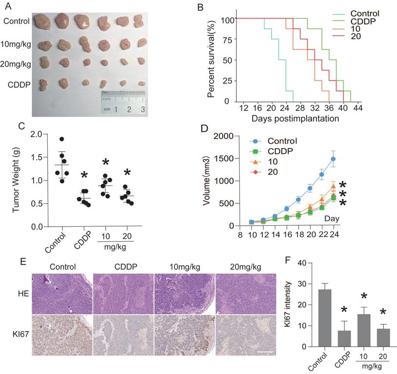 Int J Biol Sci Image