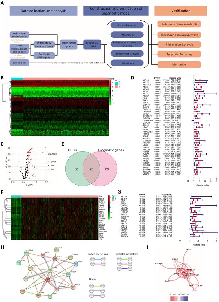 Int J Biol Sci Image