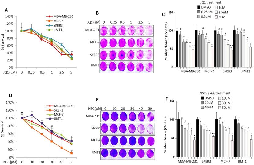 Int J Biol Sci Image