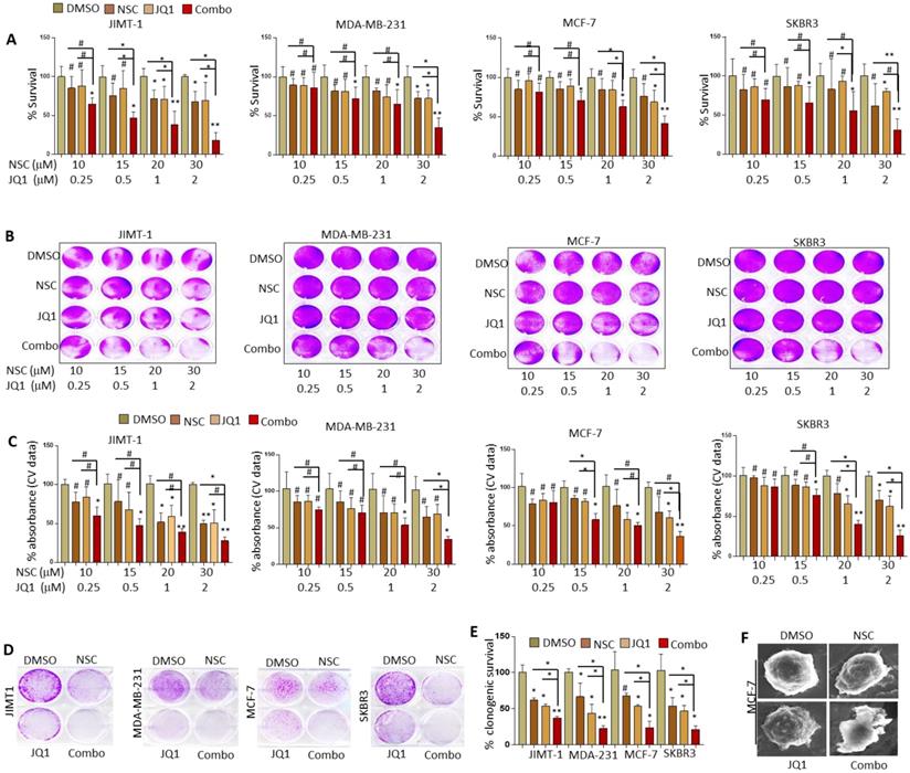 Int J Biol Sci Image