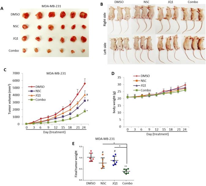 Int J Biol Sci Image