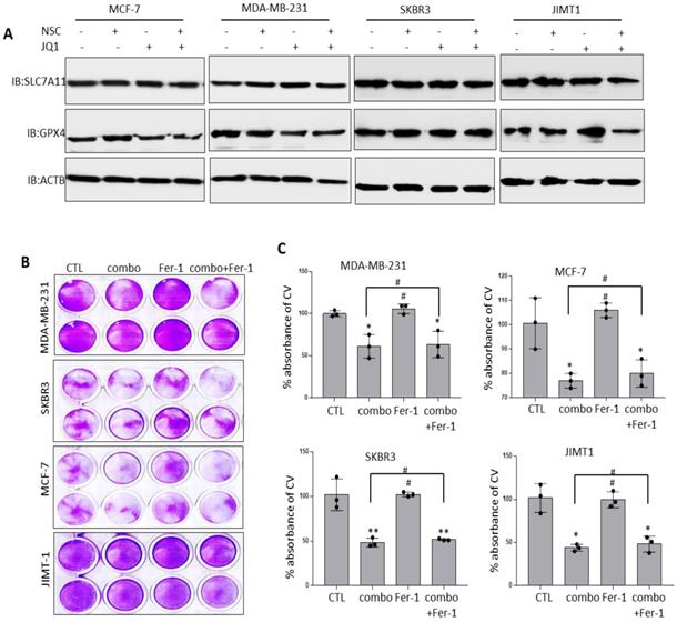 Int J Biol Sci Image