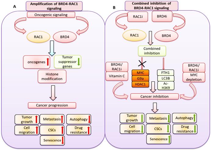 Int J Biol Sci Image