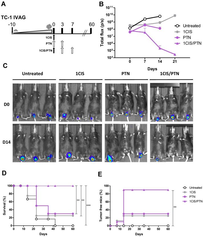 Int J Biol Sci Image