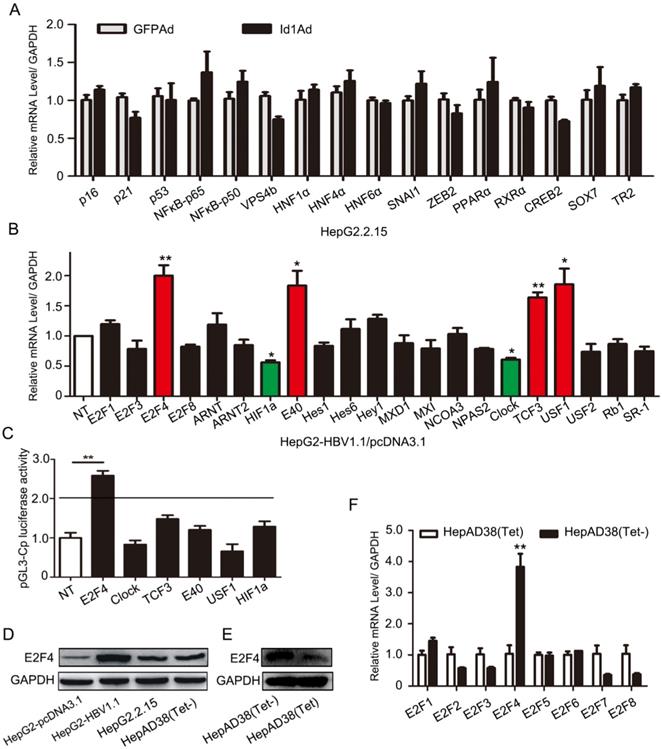 Int J Biol Sci Image