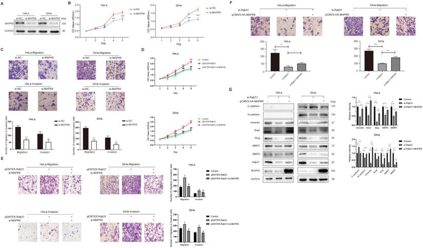 Int J Biol Sci Image