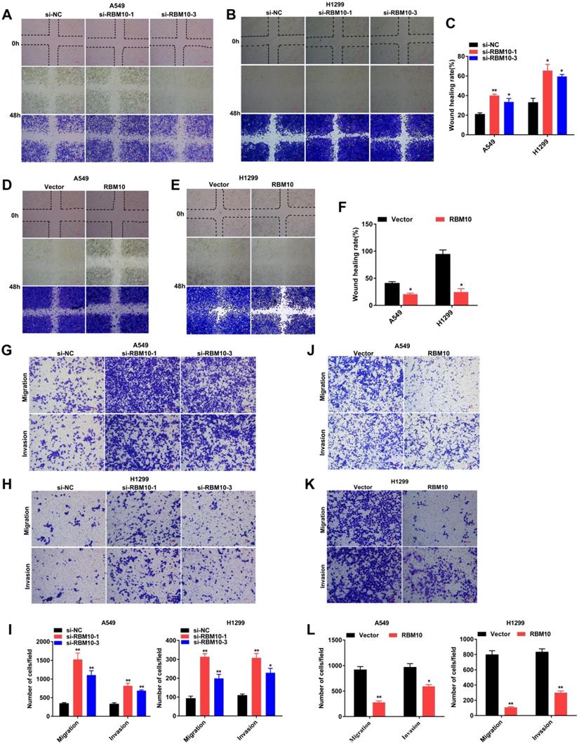 Int J Biol Sci Image