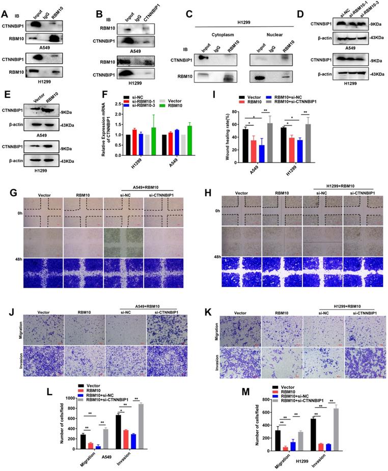 Int J Biol Sci Image