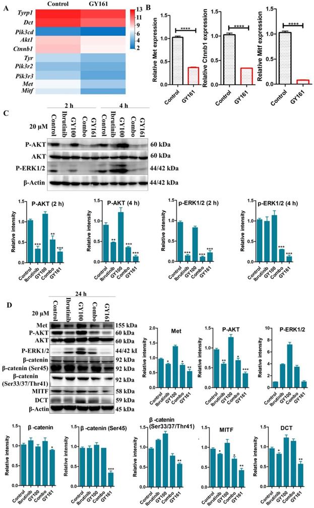 Int J Biol Sci Image