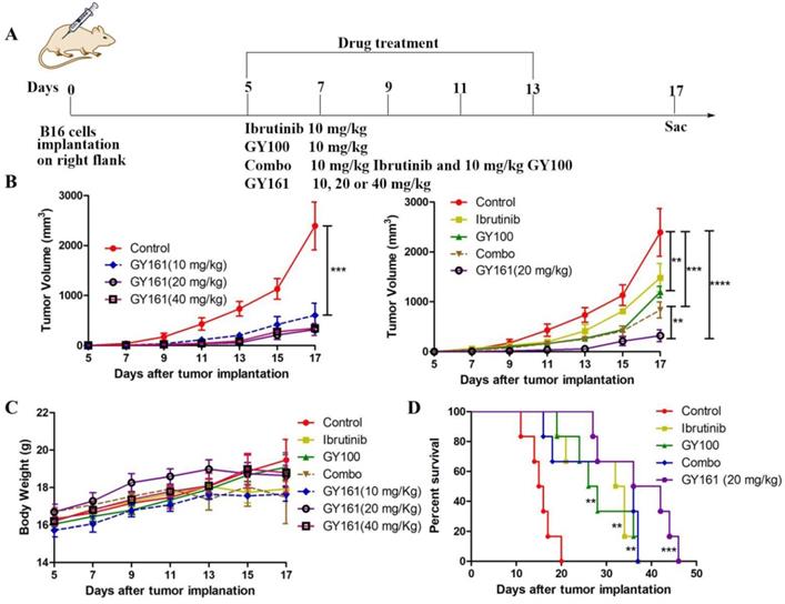 Int J Biol Sci Image