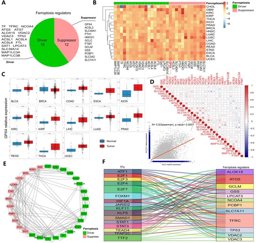 Int J Biol Sci Image