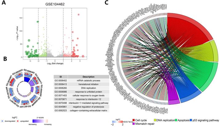 Int J Biol Sci Image