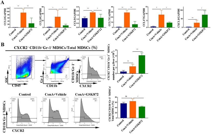 Int J Biol Sci Image