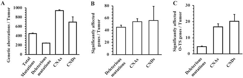 Int J Biol Sci Image