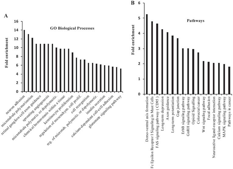 Int J Biol Sci Image