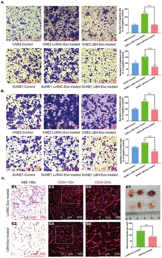 Int J Biol Sci Image