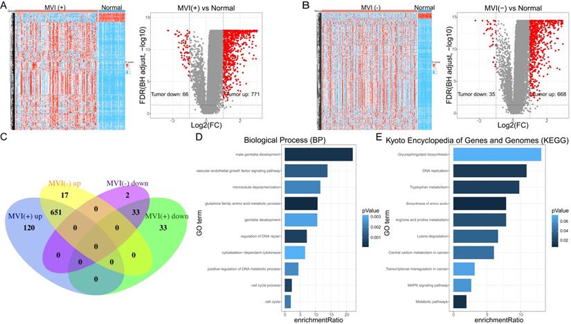 Int J Biol Sci Image