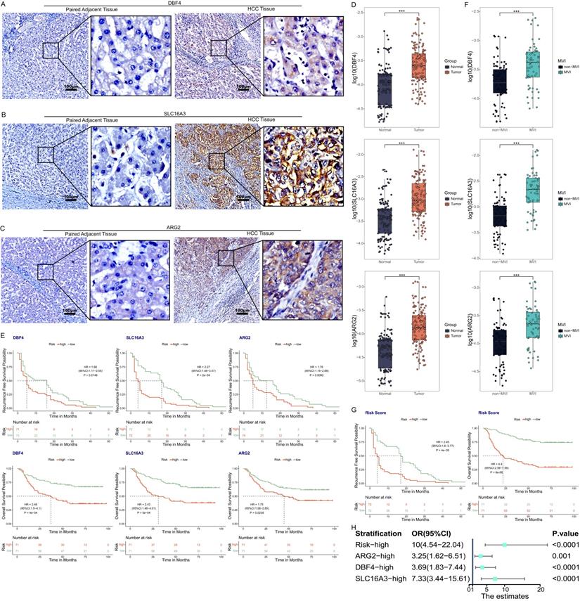 Int J Biol Sci Image