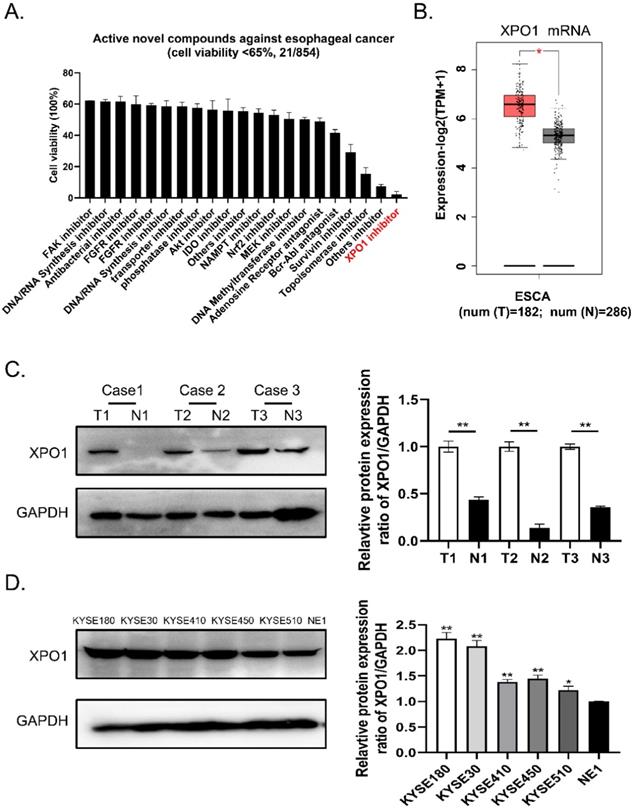 Int J Biol Sci Image