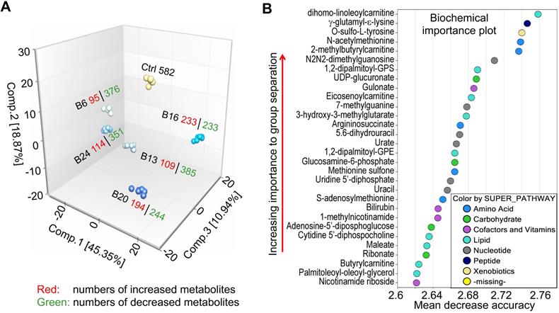 Int J Biol Sci Image