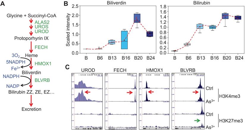 Int J Biol Sci Image