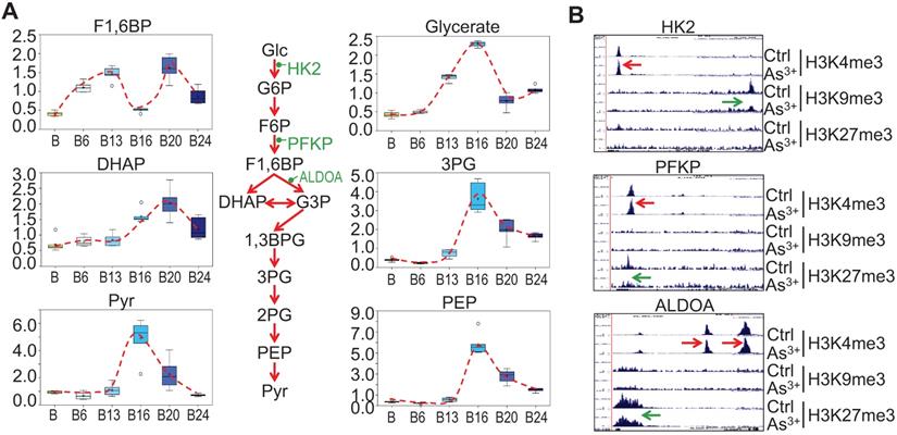 Int J Biol Sci Image