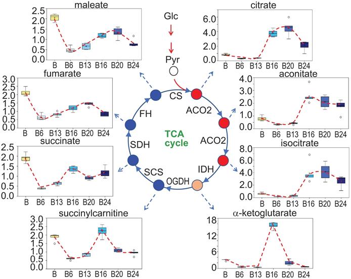 Int J Biol Sci Image