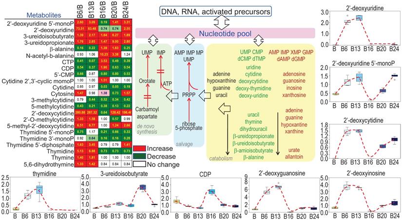 Int J Biol Sci Image