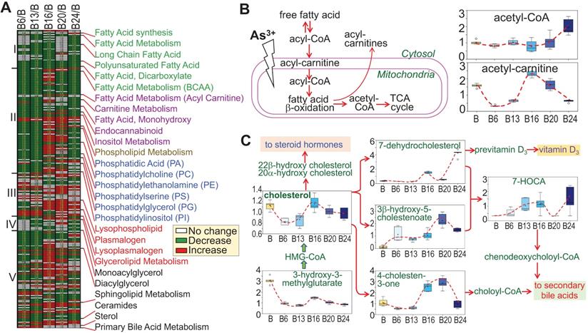 Int J Biol Sci Image