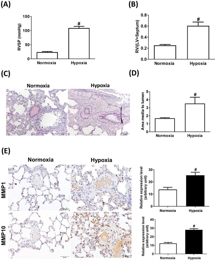 Int J Biol Sci Image