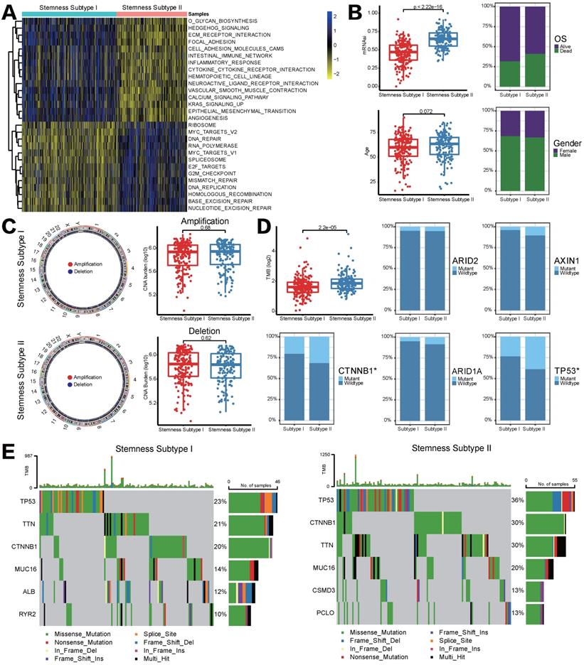 Int J Biol Sci Image