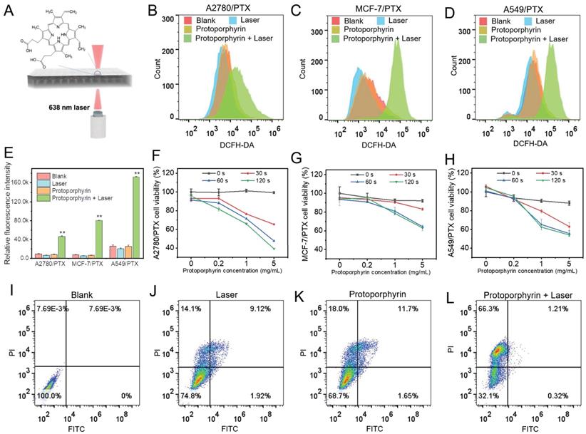 Int J Biol Sci Image