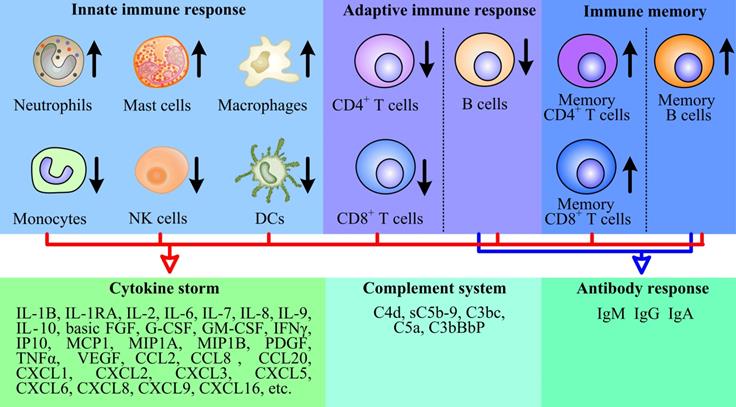 Int J Biol Sci Image