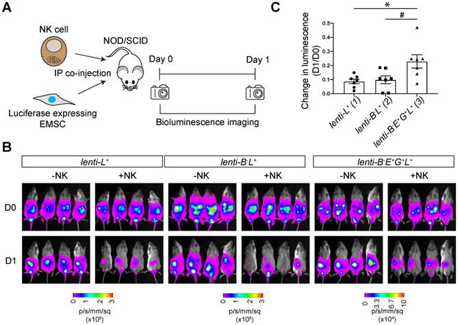 Int J Biol Sci Image