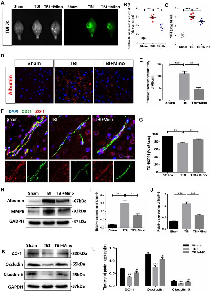 Int J Biol Sci Image