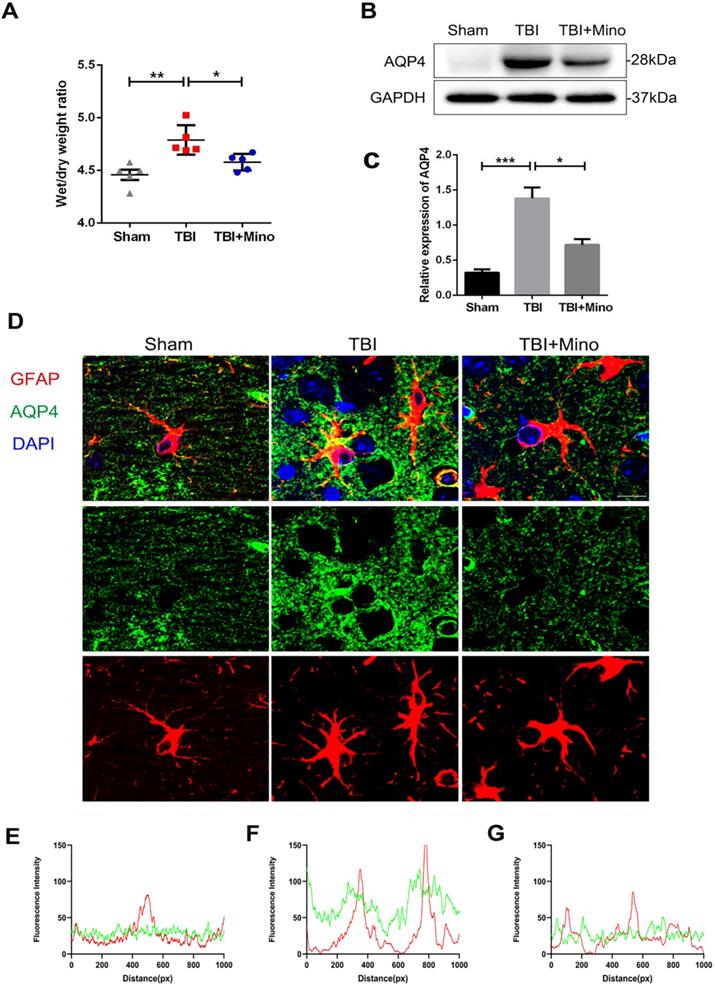 Int J Biol Sci Image