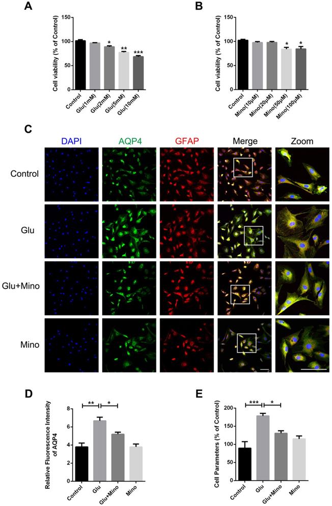 Int J Biol Sci Image