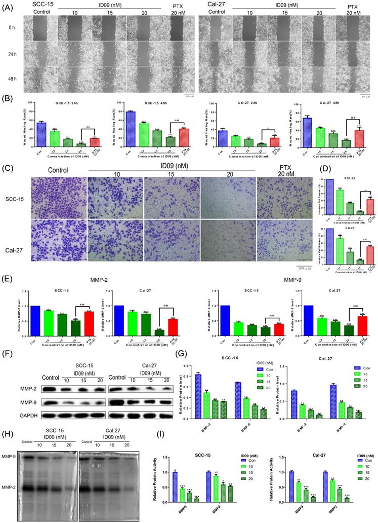 Int J Biol Sci Image